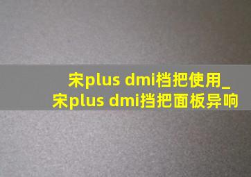 宋plus dmi档把使用_宋plus dmi挡把面板异响